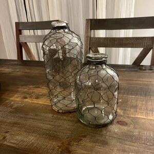 2 Chicken Wire Glass Rustic Vases Farmhouse Cottage Core Ralph Lauren